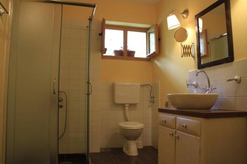 een badkamer met een toilet, een wastafel en een douche bij Apartman Brankova kuća in Sremski Karlovci