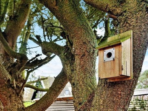 una casetta per uccelli in legno seduta sul lato di un albero di 5 person holiday home in TRELLEBORG a Trelleborg