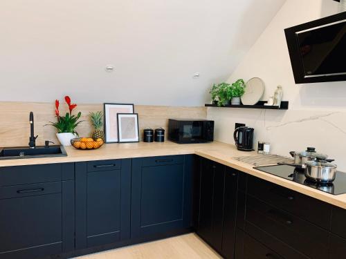 a kitchen with blue cabinets and a counter top at Apartamenty KAHOY balia pomost Kozin in Kozin