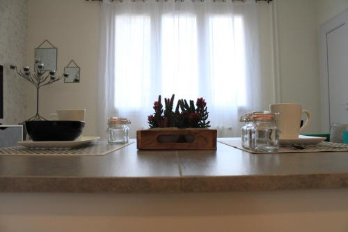 blat kuchenny ze stołem z rośliną w obiekcie L'appartement d'Alexander w Troyes