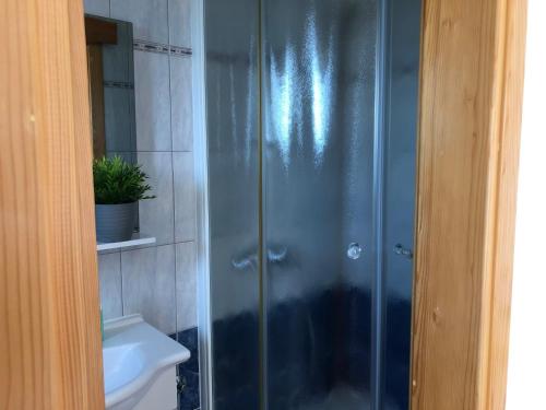 a shower with a glass door in a bathroom at Apartments Delfini in Sveti Filip i Jakov