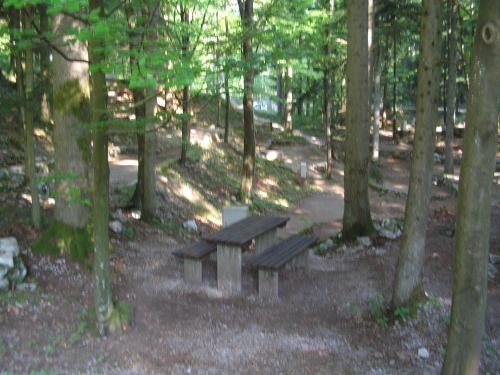 a picnic bench in the middle of a forest at Camping Pivka Jama Postojna in Postojna