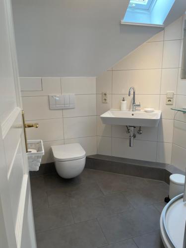 ein Badezimmer mit Toilette und Waschbecken in der Unterkunft Rittergut Hirschbach - Verwalterhaus in Hirschbach