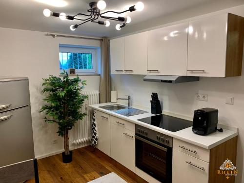 a kitchen with white cabinets and a black stove top oven at Rhein Apartment Souterrain Study in Vallendar