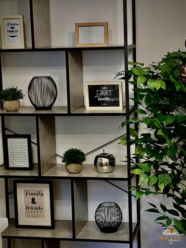 a shelf with potted plants and pictures on it at Rhein Apartment Souterrain Study in Vallendar