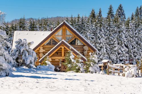 a log cabin in the snow with trees at KRALJICA ŠUME - Divjake Log Home in Hlevci