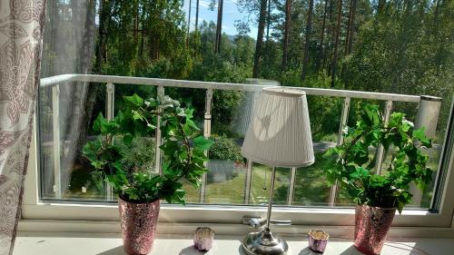 a window with two plants and a lamp on a table at Nytorpsgården in Arbrå