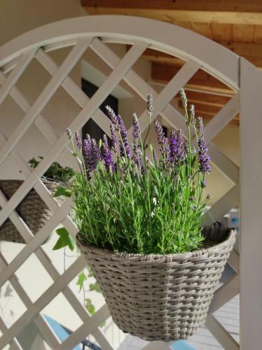 a basket of purple flowers on a wall at Le Farfalle di Armeno in Armeno