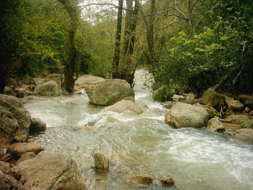 a stream of water with rocks and trees at Chen Ba'Galil in Kahal