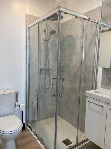 a shower stall in a bathroom with a toilet at Studio 28m2 avec parking privé - Lycée Roosevelt - Arena - Gare in Reims