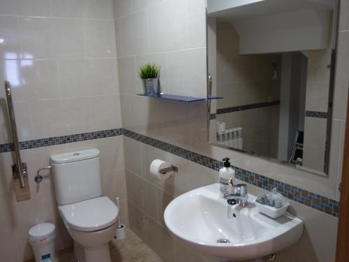 ein Badezimmer mit einem WC, einem Waschbecken und einem Spiegel in der Unterkunft Casa Rural Maruja 