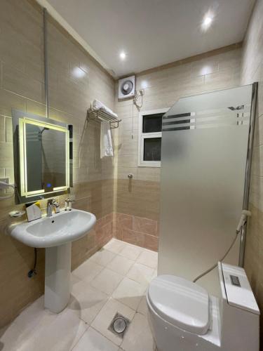 a bathroom with a sink and a toilet and a shower at Rest inn in Medina