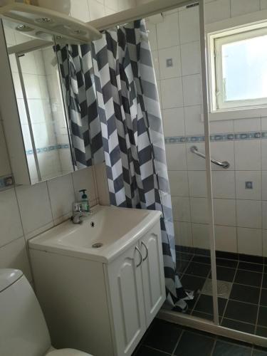 a bathroom with a sink and a shower at Festningsgaten Apartement in Vardø