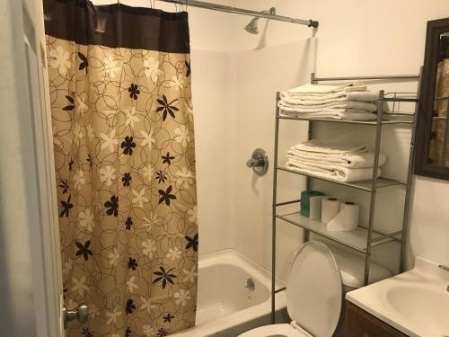 a bathroom with a shower curtain and a toilet at Windsor Motel in Lake George