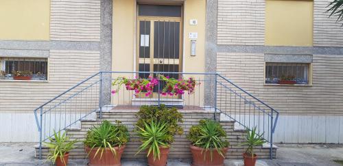 a staircase with potted plants in front of a building at The Prime B&B in Pisa