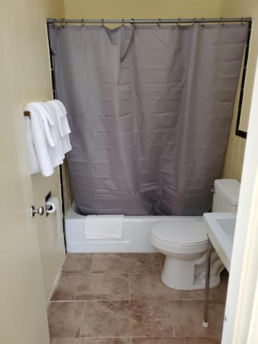 a bathroom with a toilet and a shower curtain at Dollar Inn in Somerset