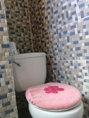 a pink toilet seat with a pink flower on it at Villa Julirous Rd 2 bedrooms apartment in Boca Chica
