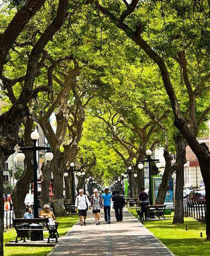people walking down a sidewalk in a park with trees at Skyliving Towers Apartments - Perú in Lima