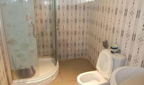 un baño con inodoro y ducha en Ade Super Hotel Single, en Akure