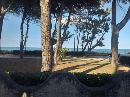 a park with trees and a view of the ocean at Quadruple room in Pineto - Just a few meters from the sea in Pineto
