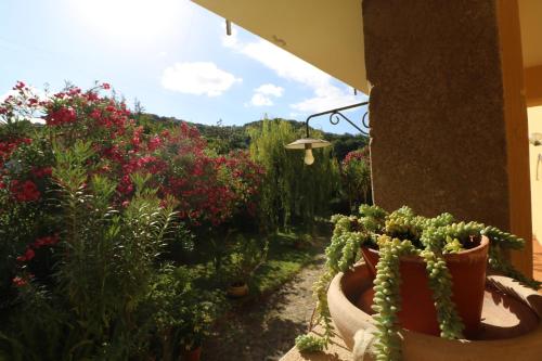a garden with cacti and flowers in pots at Antico Portale in Ascea