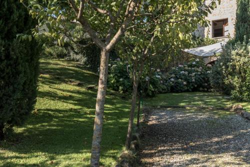 Κήπος έξω από το Borgo Al Cerro