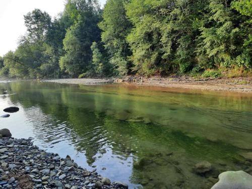 a river with rocks and trees on the shore at Kozarik in Mykulychyn