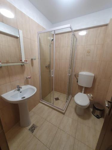 a bathroom with a shower and a toilet and a sink at Casa Vlad in Murighiol