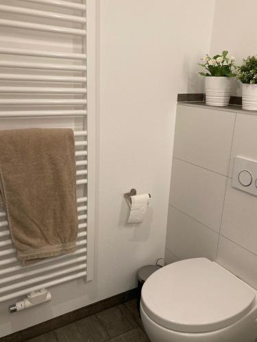 a bathroom with a white toilet and a towel at Ferienwohnung am Hühnerberg in Buchbrunn
