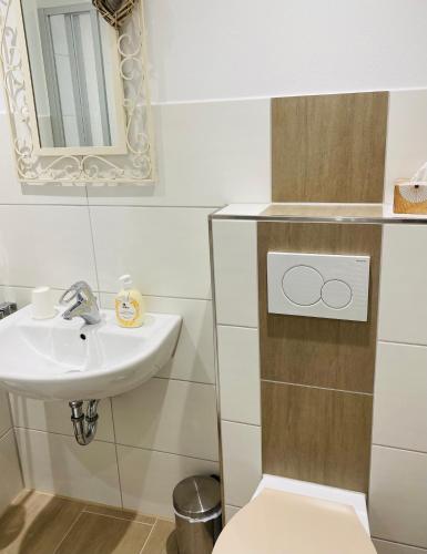 a bathroom with a sink and a toilet and a mirror at Ferienwohnungen Naturzeit in Willingen