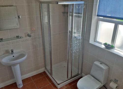 a bathroom with a shower and a toilet and a sink at Primrose Cottage in Kinnitty