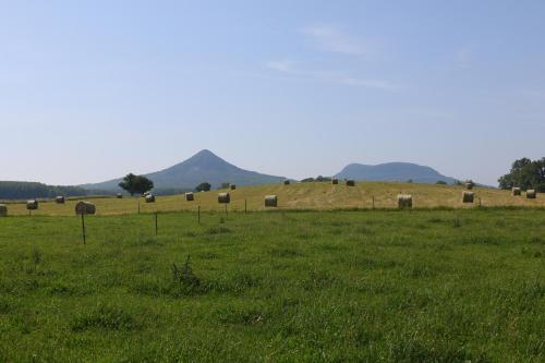 Un paisaje natural cerca de la casa de huéspedes