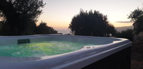 a jacuzzi tub with a view of trees at Casolare Cento Ulivi Luxury & Charme in Ascea