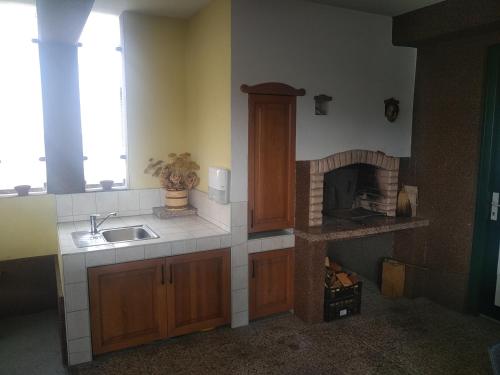 eine Küche mit einer Spüle und einem Kamin in der Unterkunft Depandansa Hotel-a Pri Belokranjcu in Metlika