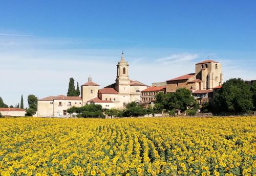 Billede fra billedgalleriet på Casa Rural Las Condesas i Santo Domingo de Silos
