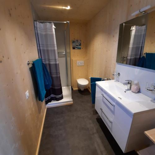 a bathroom with a sink and a shower and a toilet at Aktien 11 / A=obere Wohnung / B=untere Wohnung in Sils im Domleschg