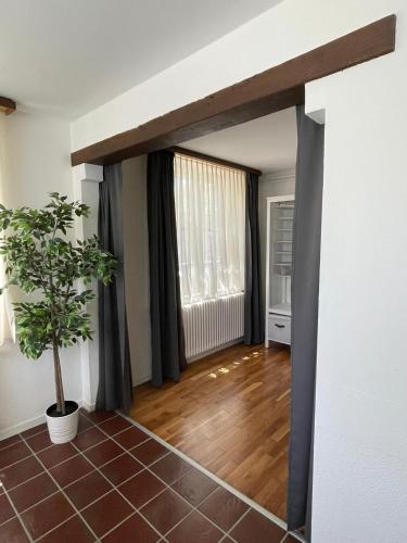 Ascona: Casa Conchiglia