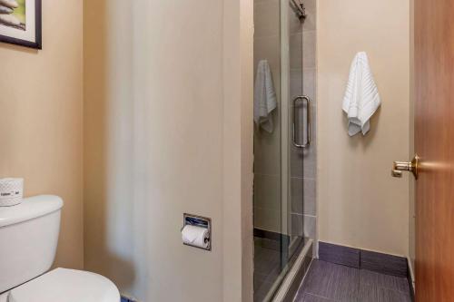 Kylpyhuone majoituspaikassa Comfort Suites North Dallas