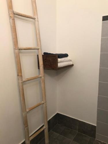 a ladder shelf in a bathroom with a shower at LES ALOÈS By CREYOL ANIMAL in Grand-Bourg