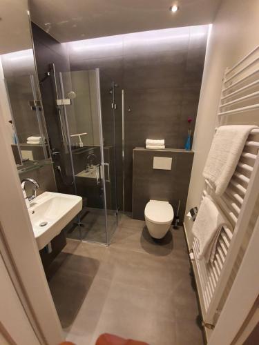 Apartamenty Polonia Mrągowo tesisinde bir banyo