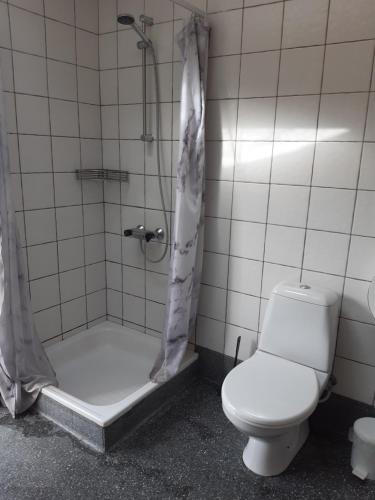a bathroom with a toilet and a shower with a shower curtain at Rejkjær Camping Hytter & Lejligheder in Ulfborg
