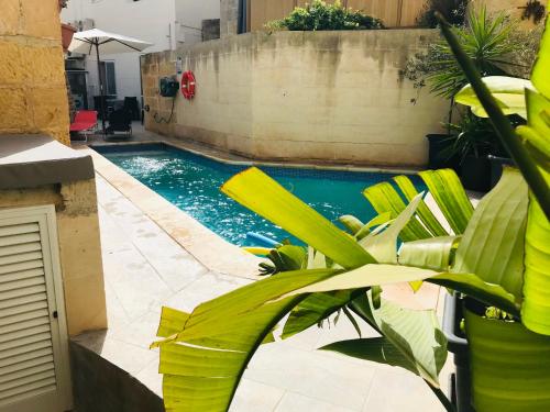 a swimming pool with green plants next to it at The Cloisters Bed And Breakfast in Xagħra