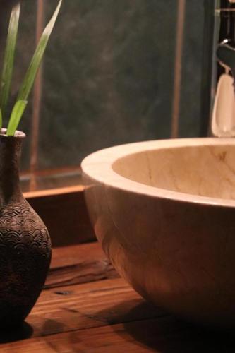 a bathroom with a sink and a vase with a plant at Rêve Et Alizé - Gites de charme in Bouillante