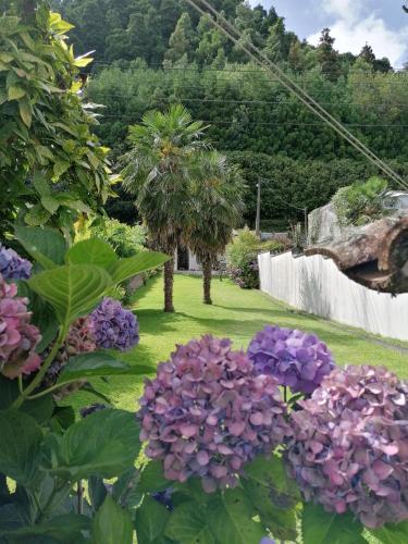 a garden with purple flowers and palm trees at Refúgio no Vale das Furnas - Casa do Sossego in Furnas