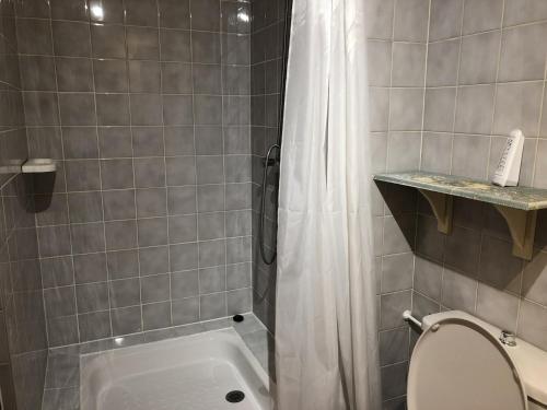 een badkamer met een douche, een toilet en een bad bij Studio Brides-les-Bains, 1 pièce, 4 personnes - FR-1-512-6 in Brides-les-Bains