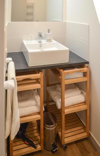 une salle de bain avec un lavabo et un comptoir avec des serviettes dans l'établissement Les Appartements du Palais, à Bergerac