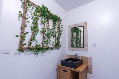La salle de bains est pourvue d'un miroir et de lierre sur le mur. dans l'établissement L'Amazonia - Domaine Tropical, à Saint-Aignan
