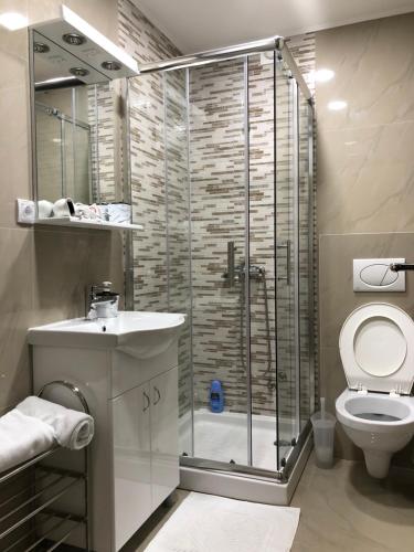 a bathroom with a shower with a toilet and a sink at Apartman Pino in Veliko Gradište