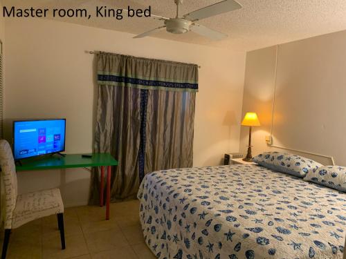 Schlafzimmer mit einem Bett und einem Schreibtisch mit einem TV in der Unterkunft House 3br 1-bath, 8-min from Indian Rocks Beach, nice park thru back gate in Largo