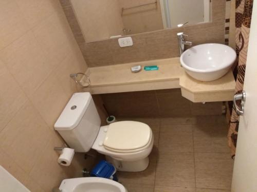 a small bathroom with a toilet and a sink at Cerrito 1326 Apartamento in Rosario